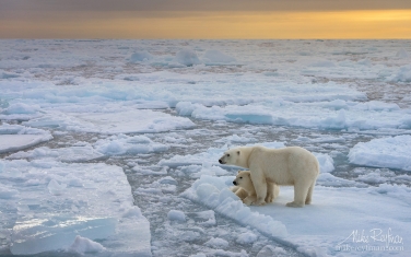 52   | Photo Tour with Mike Reyfman