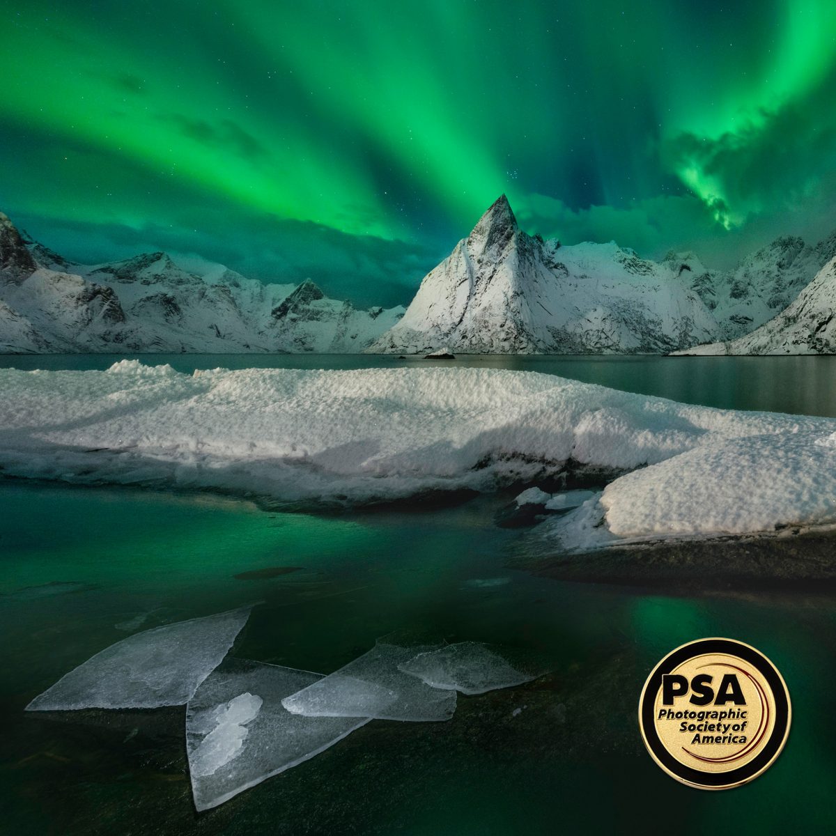 Winter Magic. Awards Theme: Arctic PSA Gold medal