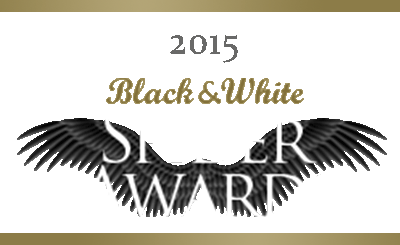 2015 Spyder Awards